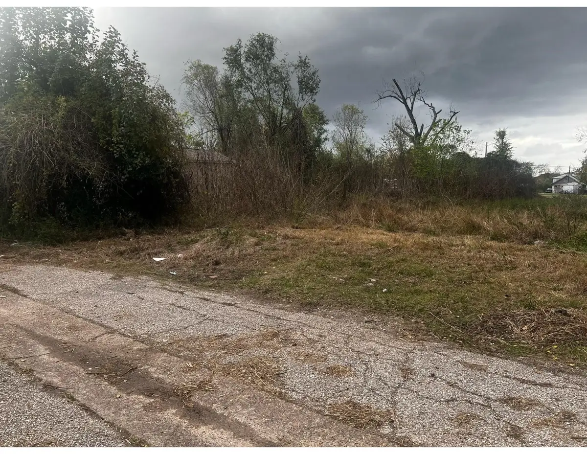 1814 Chase Street, Houston, TX 77026 - #1