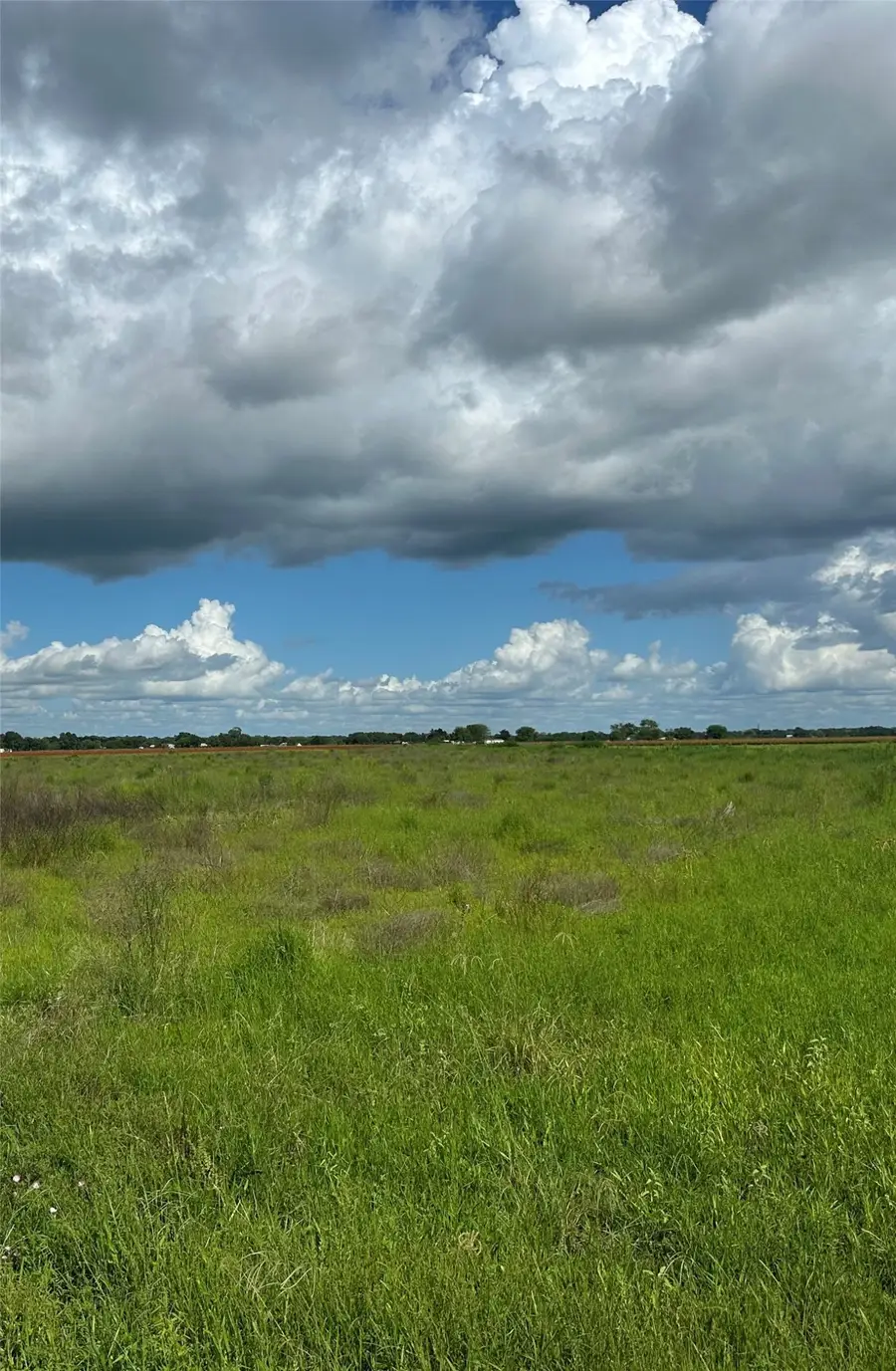 TBD County Road 268, East Bernard, TX 77435 - #2