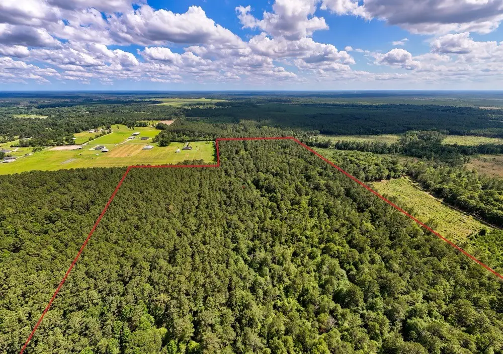 000 Private Road 51701, Kirbyville, TX 75956 - #1
