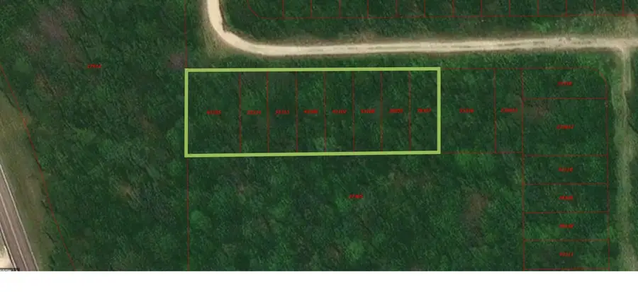 100 Wood Forest, Livingston, TX 77351 - #2