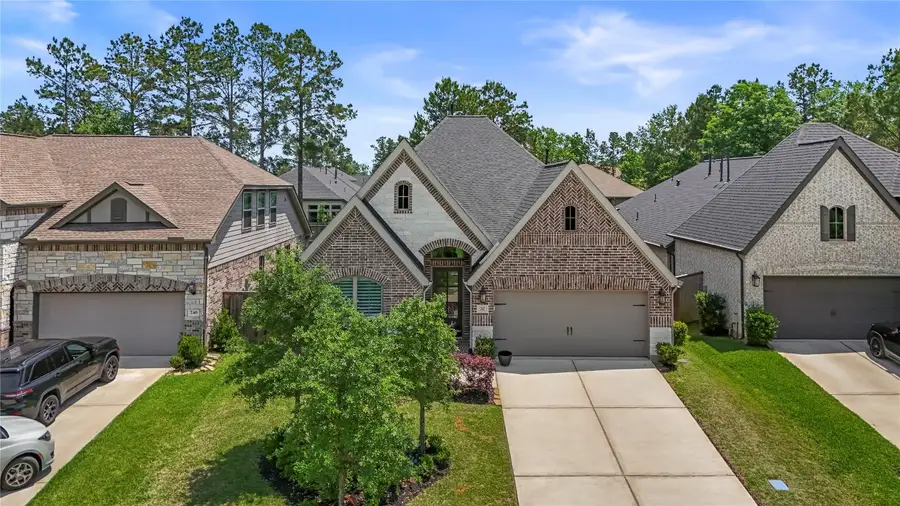 242 Crest Sights Drive, Montgomery, TX 77316 - #2