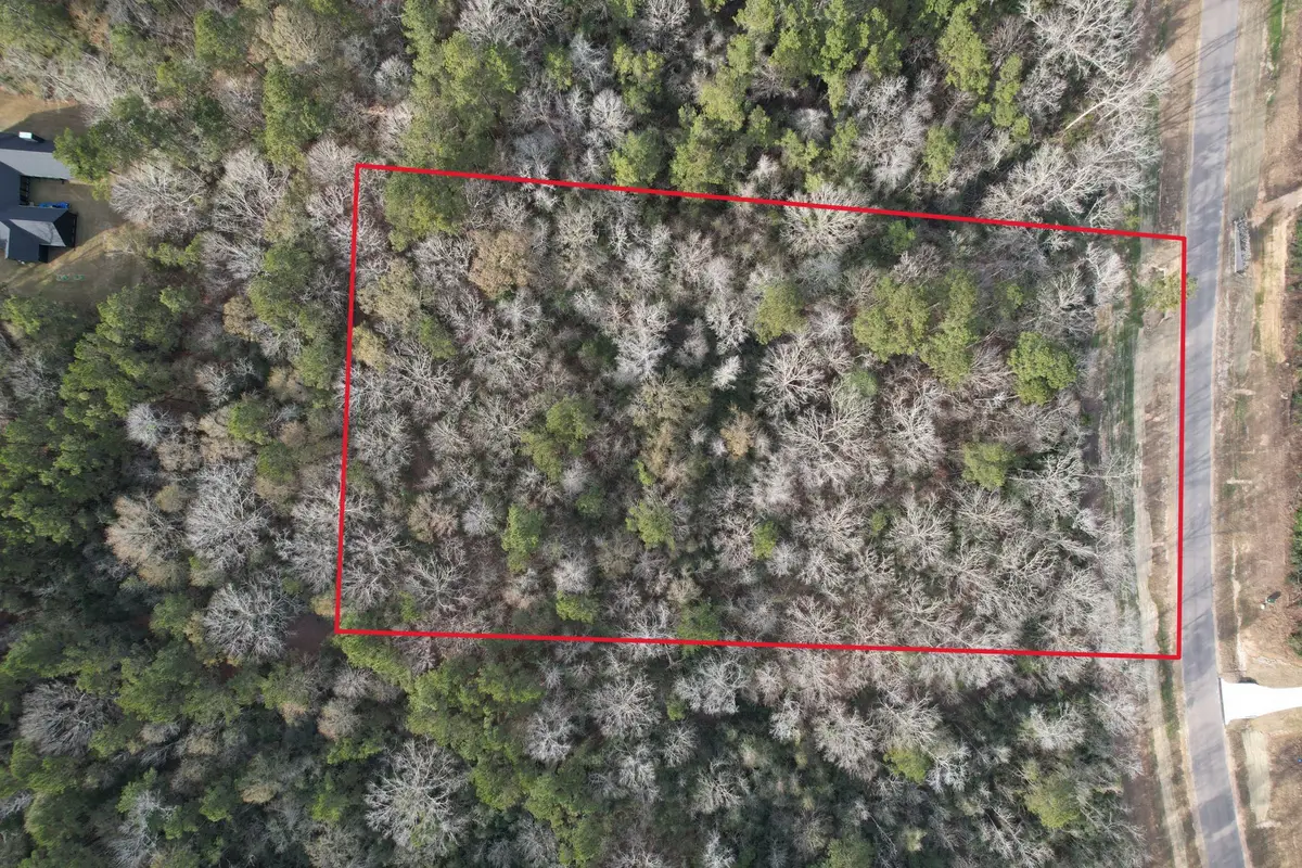 16157 Ridge Oak Road, Willis, TX 77378 - Image #1