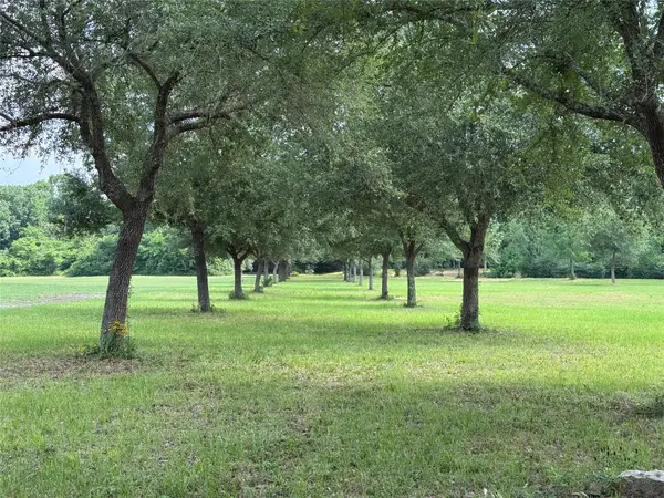 24077 Old Dobbin Plantersvil Road, Montgomery, TX 77316