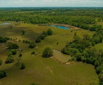 11000 Fm 974, Bryan, TX 77808 - #1