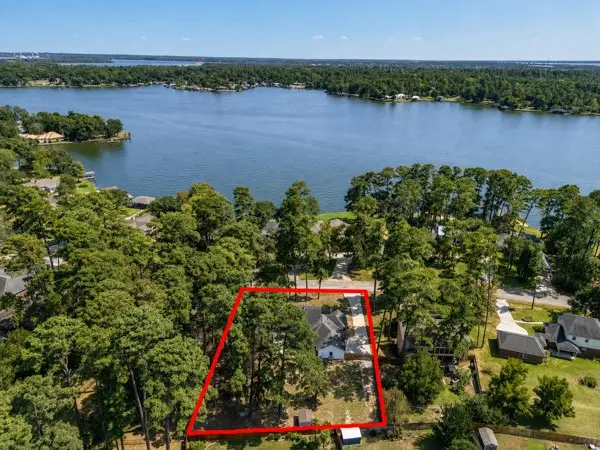 14131 Lakepoint Drive, Willis, TX 77318