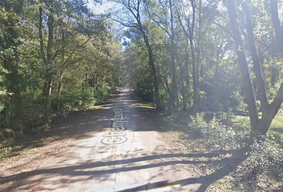 120 Cherry Laurel Street, Huffman, TX 77336 - #1