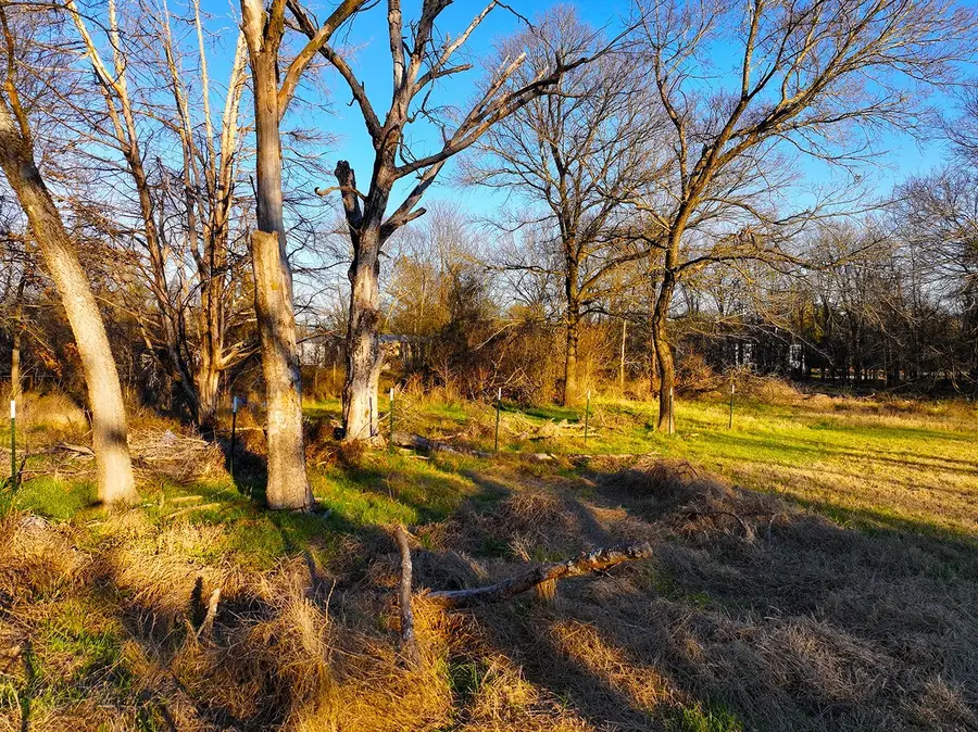 TBD NE Cr 3114, Purdon, TX 76679 - #2