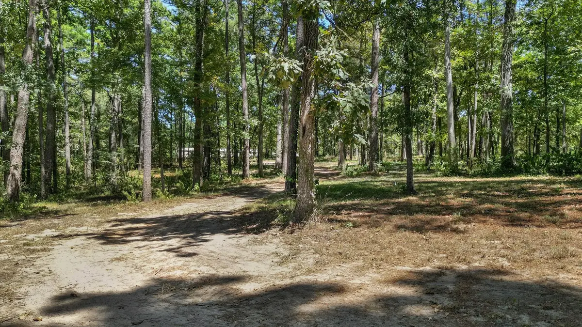 188 Camp Road, Trinity, TX 75862 - #1
