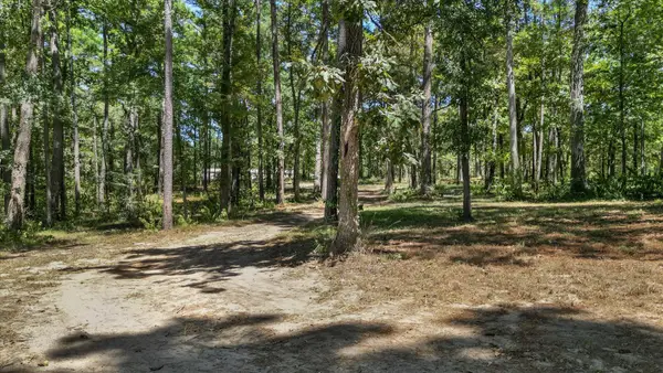 188 Camp Road, Trinity, TX 75862