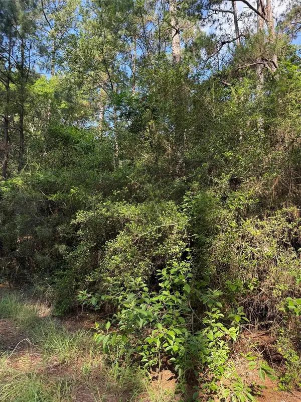 TBD Timberwood Lane, Navasota, TX 77868