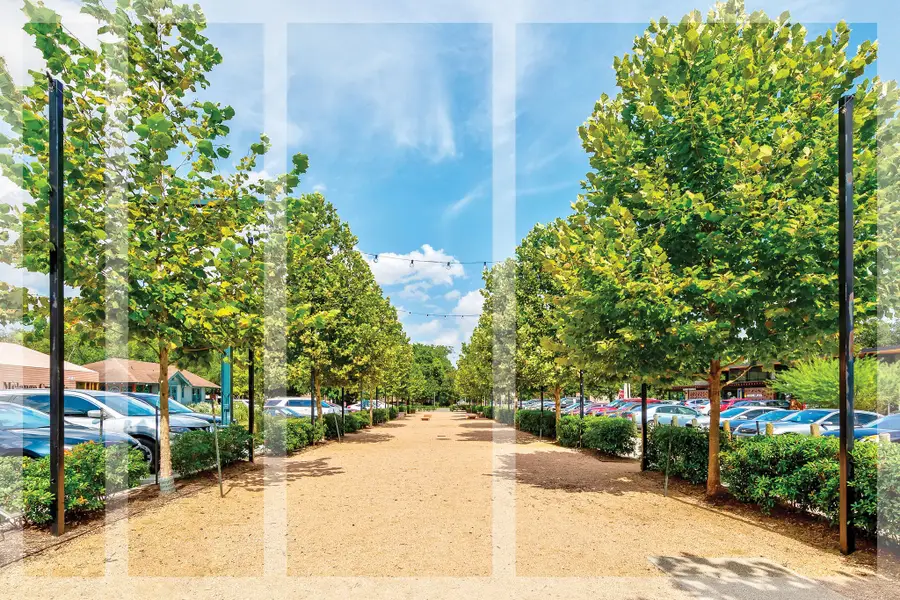 739 Dorothy Street, Houston, TX 77007 - #3