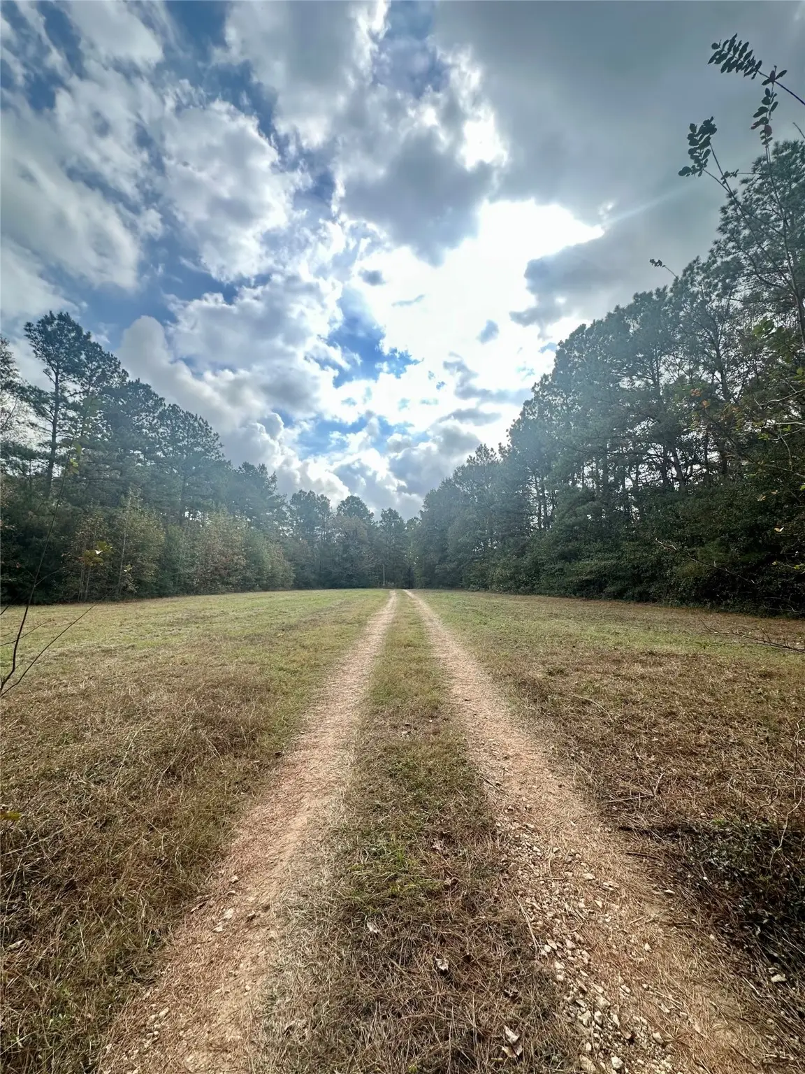 11140 Fm 1484 Road, Conroe, TX 77303 - Image #1