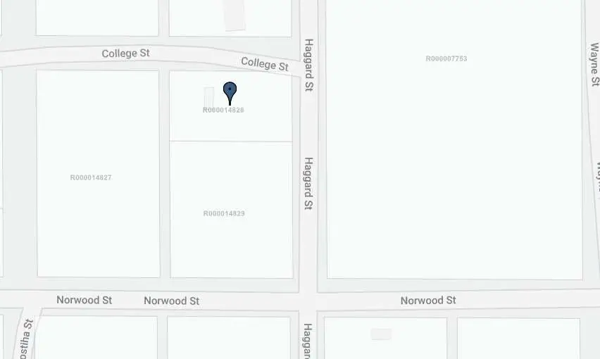 0 College Street, Mingus, TX 76463 - Image #2