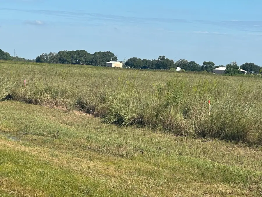 0 Highway 36 S Expressway S, Guy, TX 77444 - Image #2