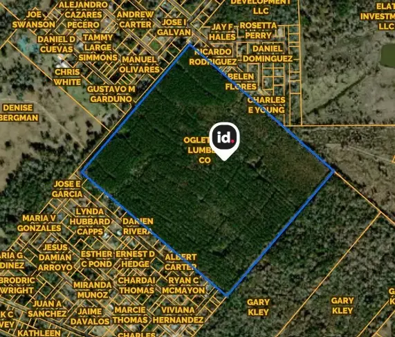 TBD Douglas Nugent Road, Livingston, TX 77351 - #1