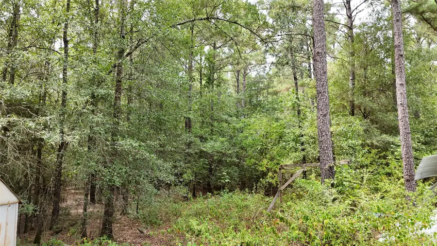TBD Douglas Nugent Road, Livingston, TX 77351 - #2