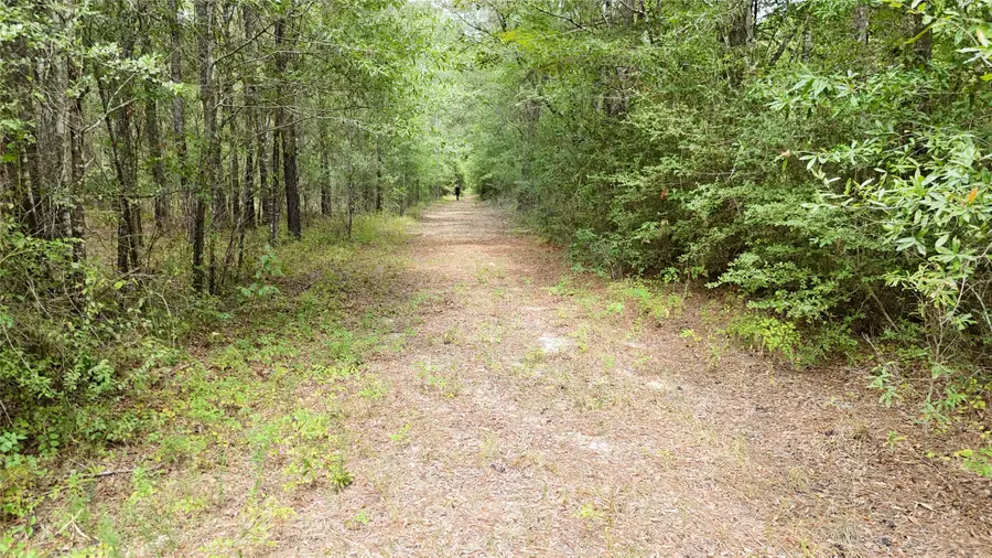TBD Douglas Nugent Road, Livingston, TX 77351 - #3