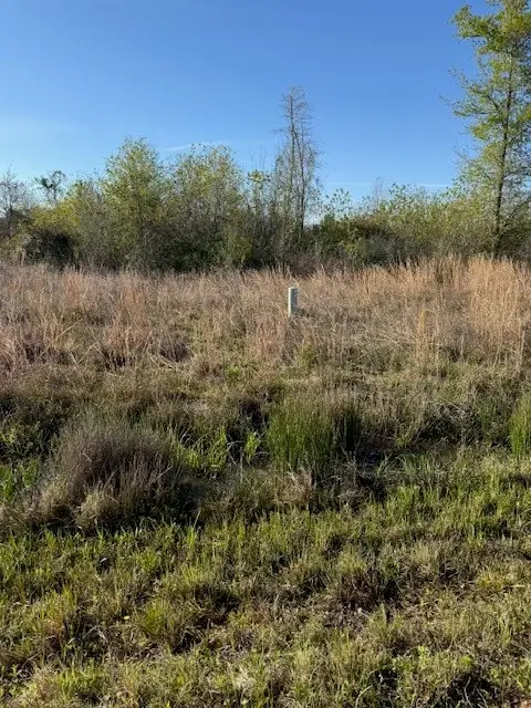 668 Road 5816, Cleveland, TX 77327 - #2