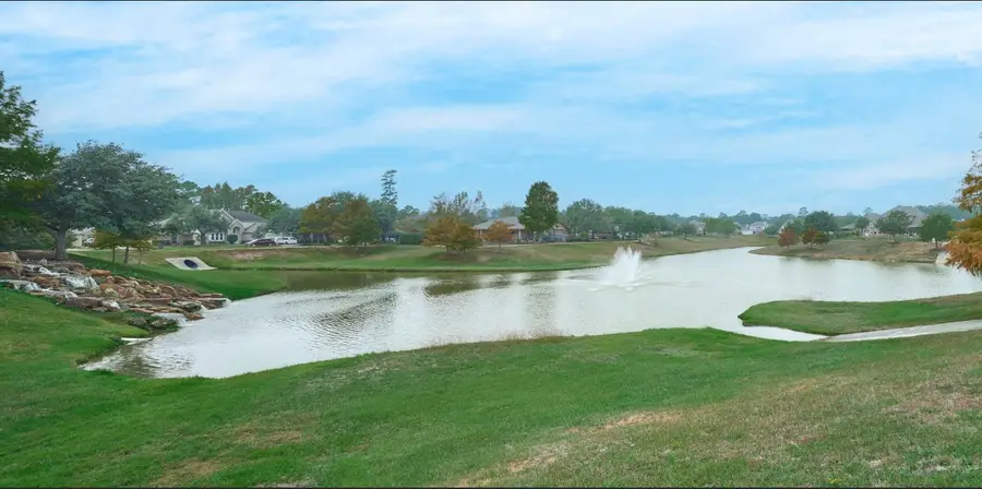 24511 Emerald Pool Falls Drive, Tomball, TX 77375 - #2