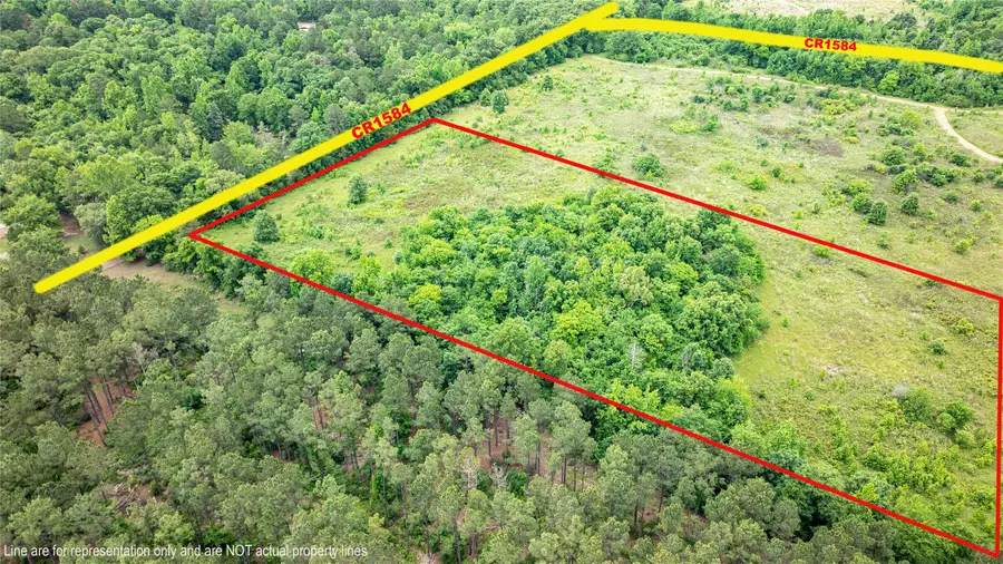 Lot 4 County Road 1584, Avinger, TX 75630 - #2