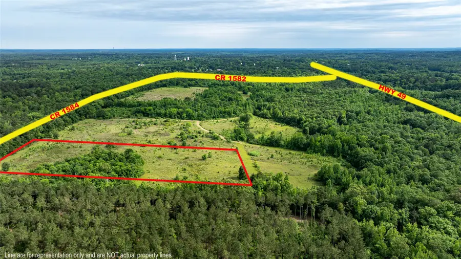Lot 4 County Road 1584, Avinger, TX 75630 - #3