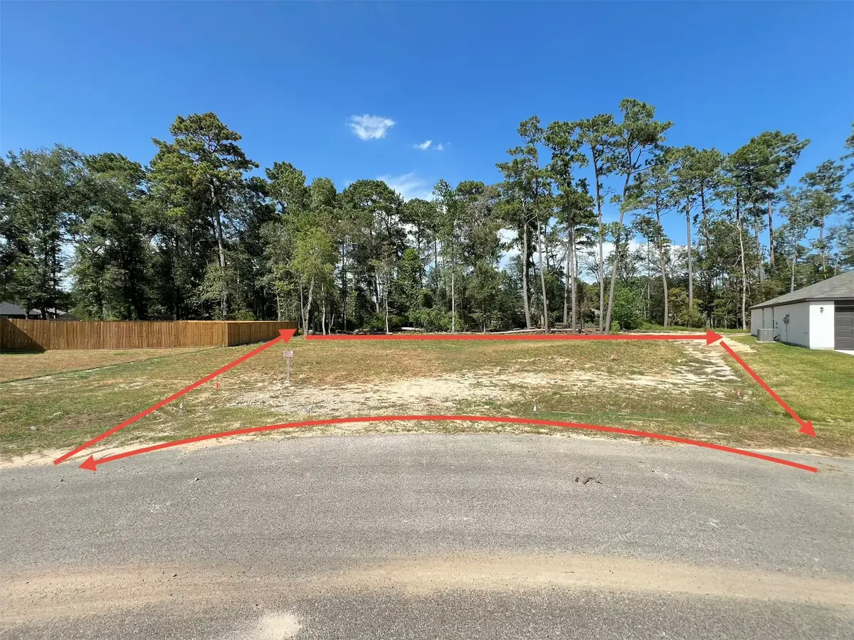 818 Scribe St, New Caney, TX 77357 - #1
