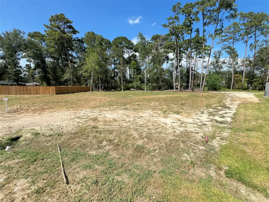 818 Scribe St, New Caney, TX 77357 - #3