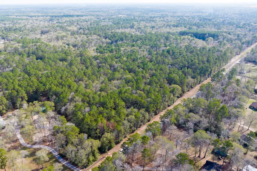 6698 Pine Shadows Road, Cleveland, TX 77328 - Image #3