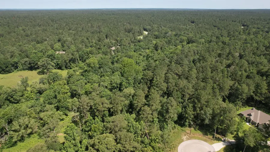 207 Sandpiper Drive, New Waverly, TX 77358 - #3