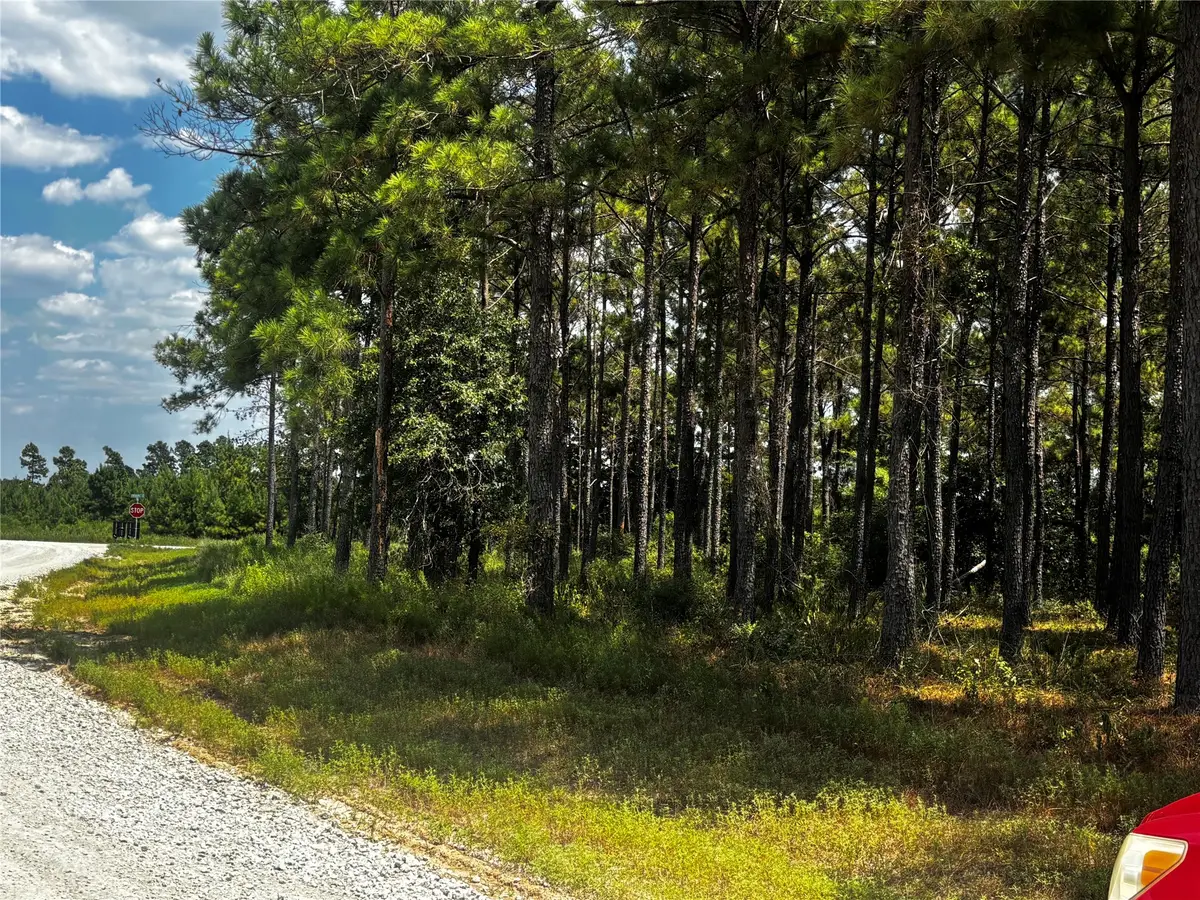 TBD Trinity Trail, Lovelady, TX 75851 - #1