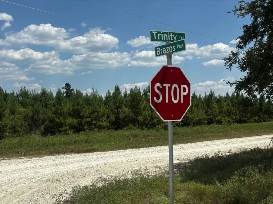 TBD Trinity Trail, Lovelady, TX 75851 - #2