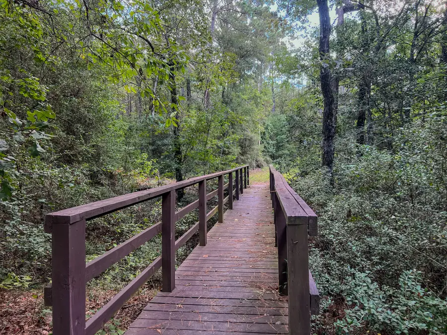 185 Rim Rock Road, Huntsville, TX 77340 - #3