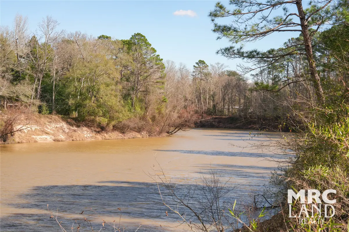 00 Sam Rayburn Pkwy, Colmesneil Chester, TX 75951 - #1