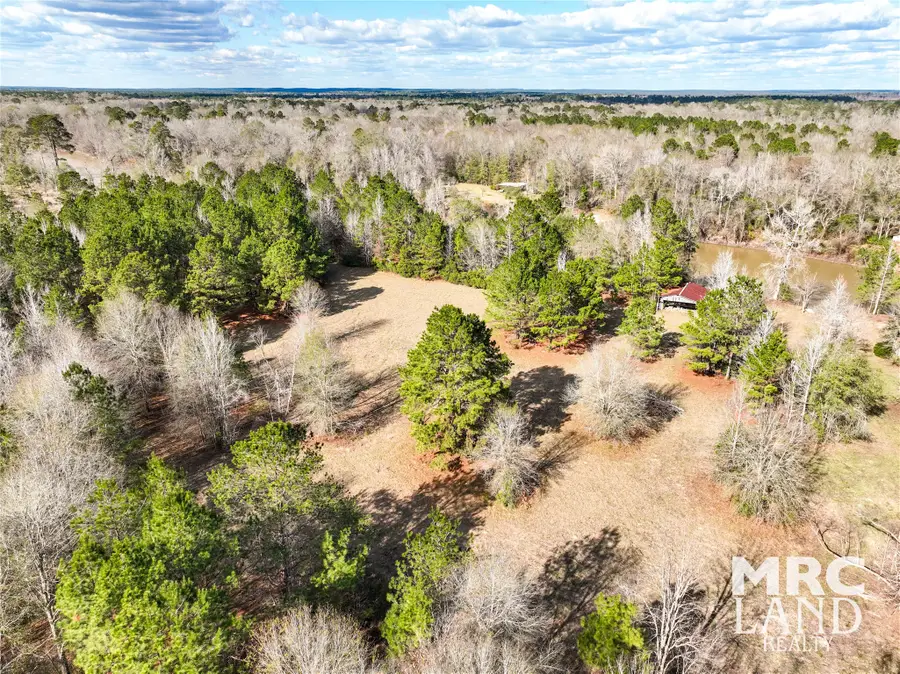 00 Sam Rayburn Pkwy, Colmesneil Chester, TX 75951 - #3