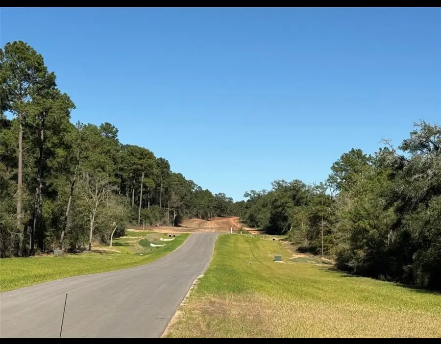 9304 Cedar Bnd Court, Plantersville, TX 77363 - #3