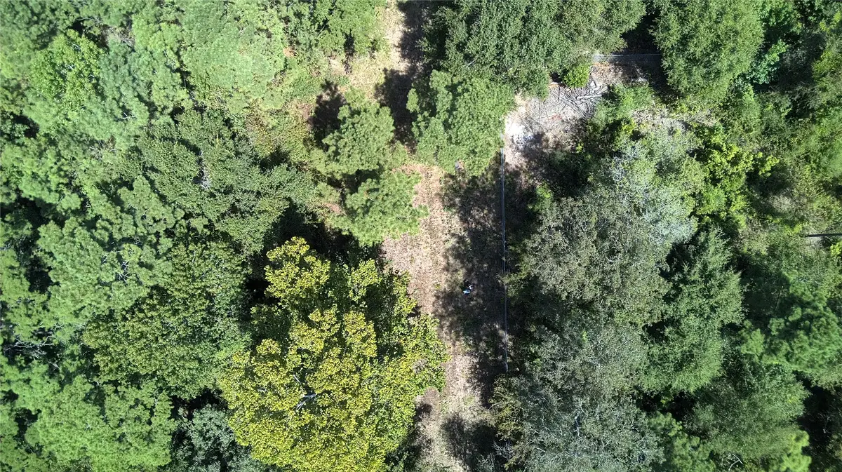 TBD Cove Lake Drive, Livingston, TX 77351 - #1