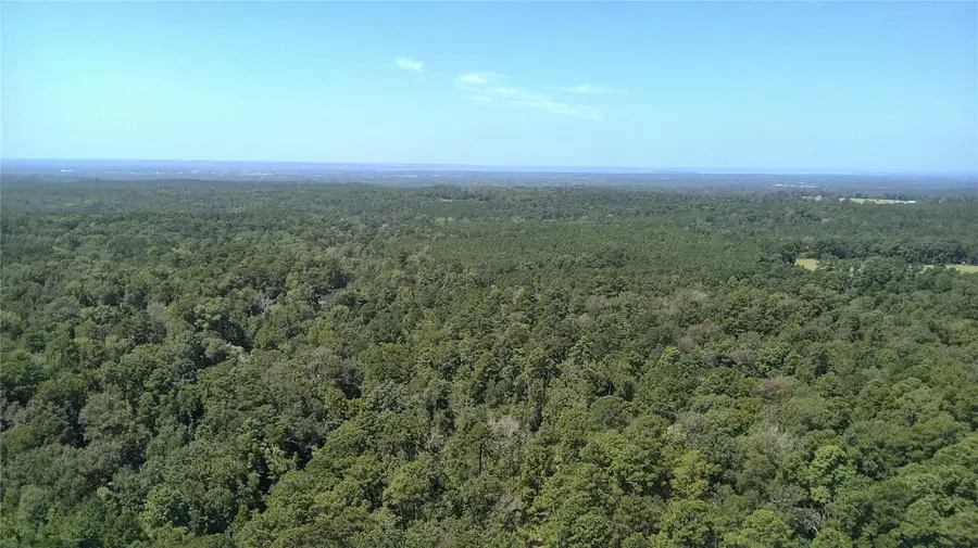 TBD Cove Lake Drive, Livingston, TX 77351 - #3