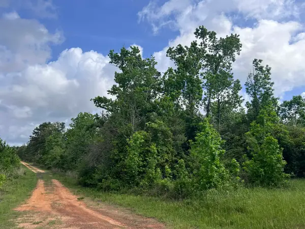 000 County Road 2041, Newton, TX 75966
