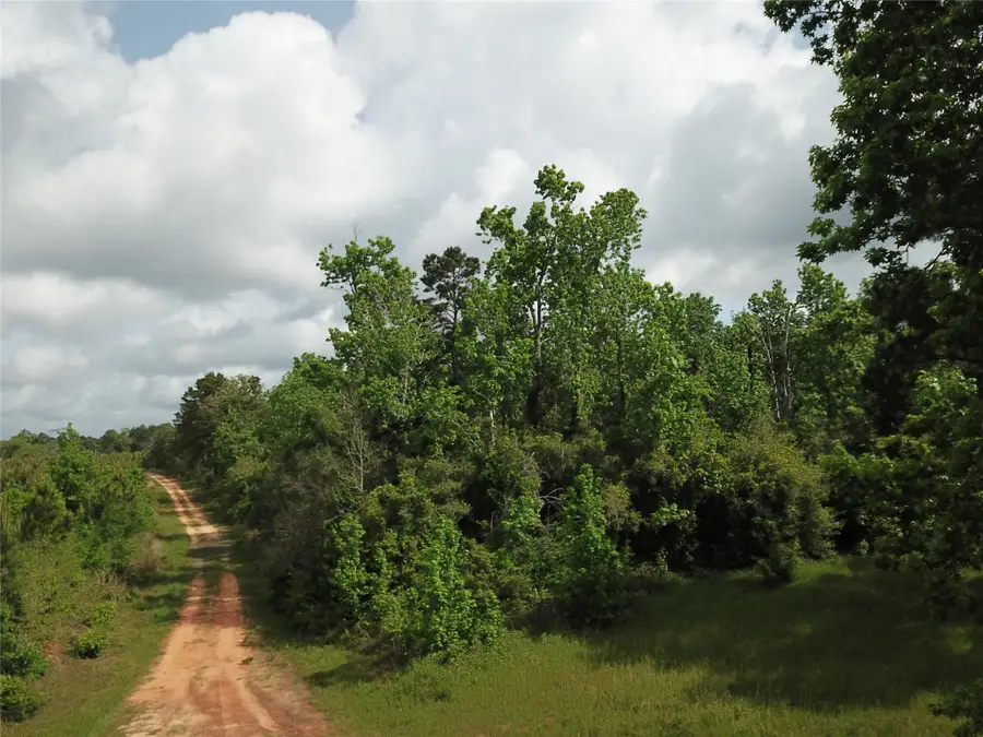 000 County Road 2041, Newton, TX 75966 - #3