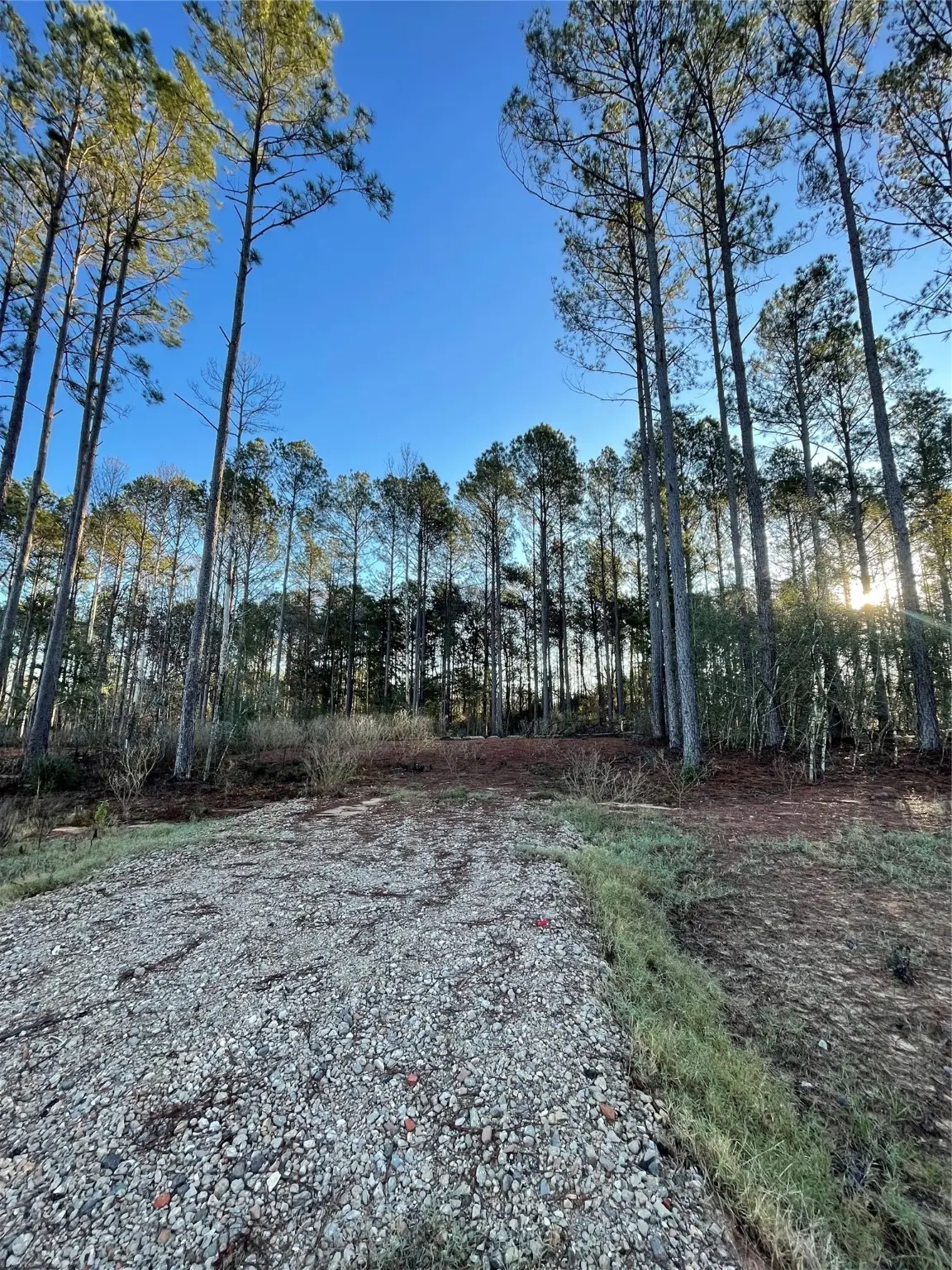 11356 Annie Creek Drive, Willis, TX 77378 - #1