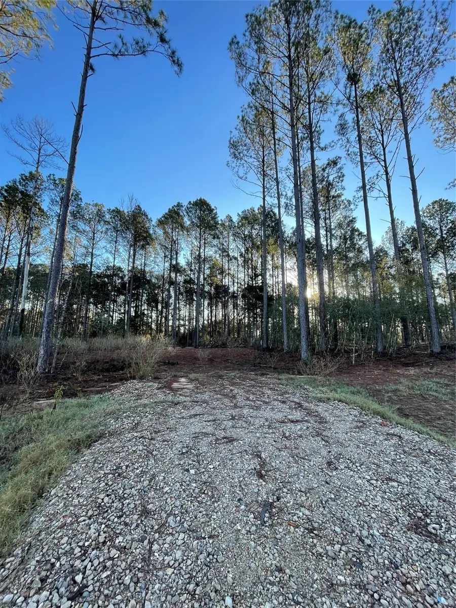 11356 Annie Creek Drive, Willis, TX 77378 - #2