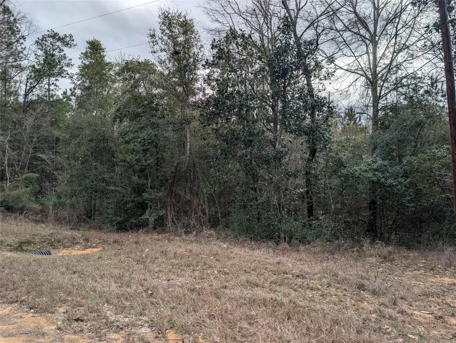 0 Road 2723, Cleveland, TX 77327 - #3