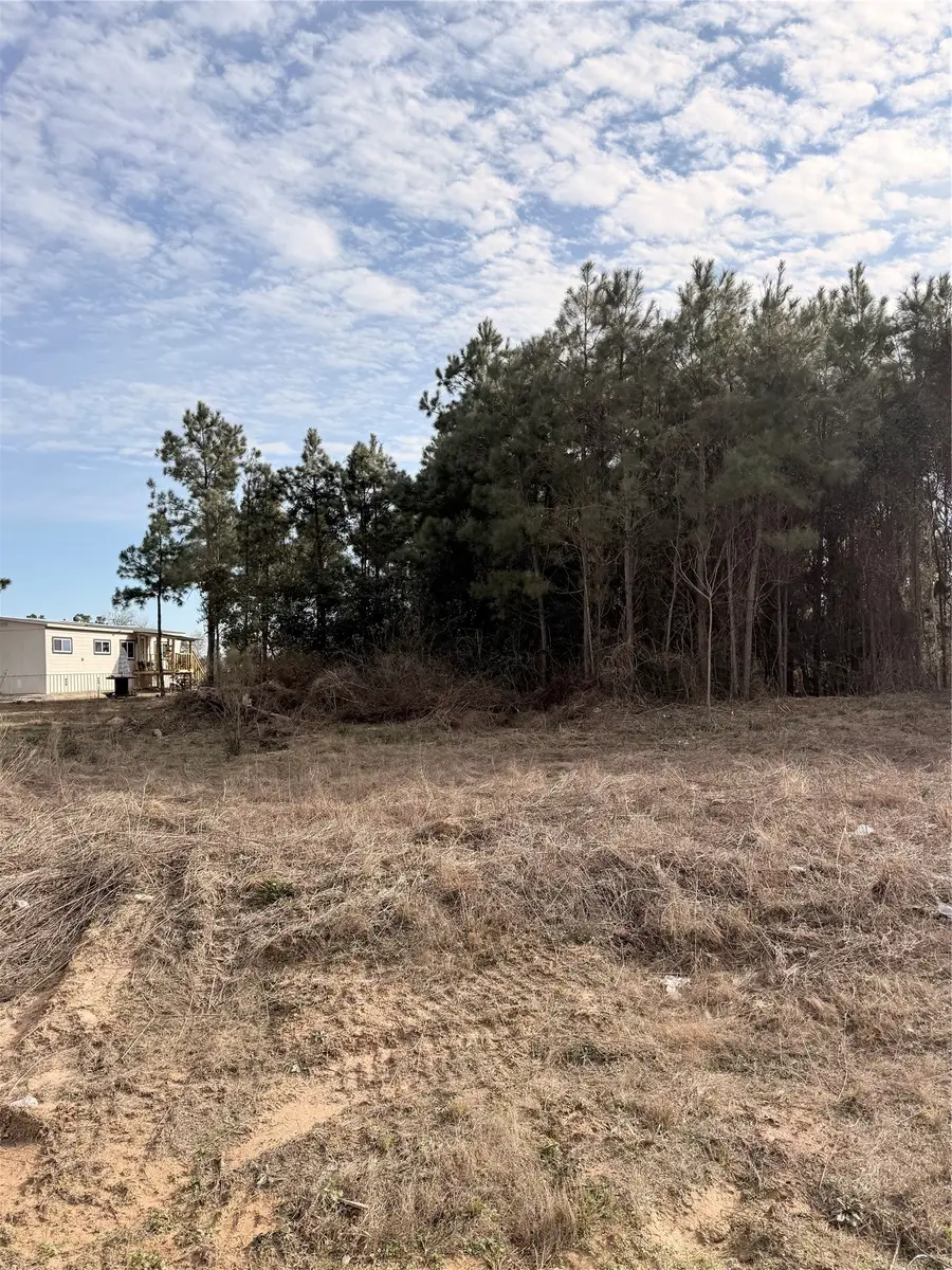 10024 Road 5868, Dayton, TX 77535 - #2