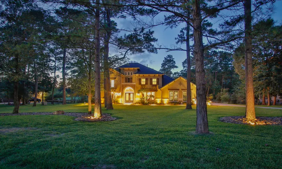 28733 Lakeside Green, Magnolia, TX 77355 - #2