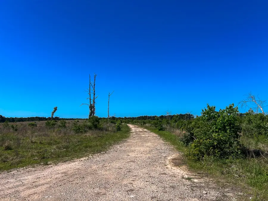 T-1 Fm 355 Eliot, Groveton, TX 75845 - #3