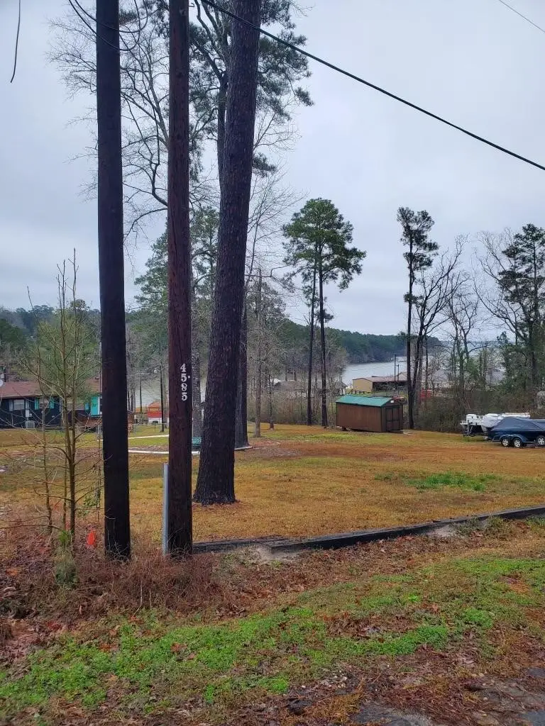 234 Hillcrest Drive, Hemphill, TX 75948 - #3