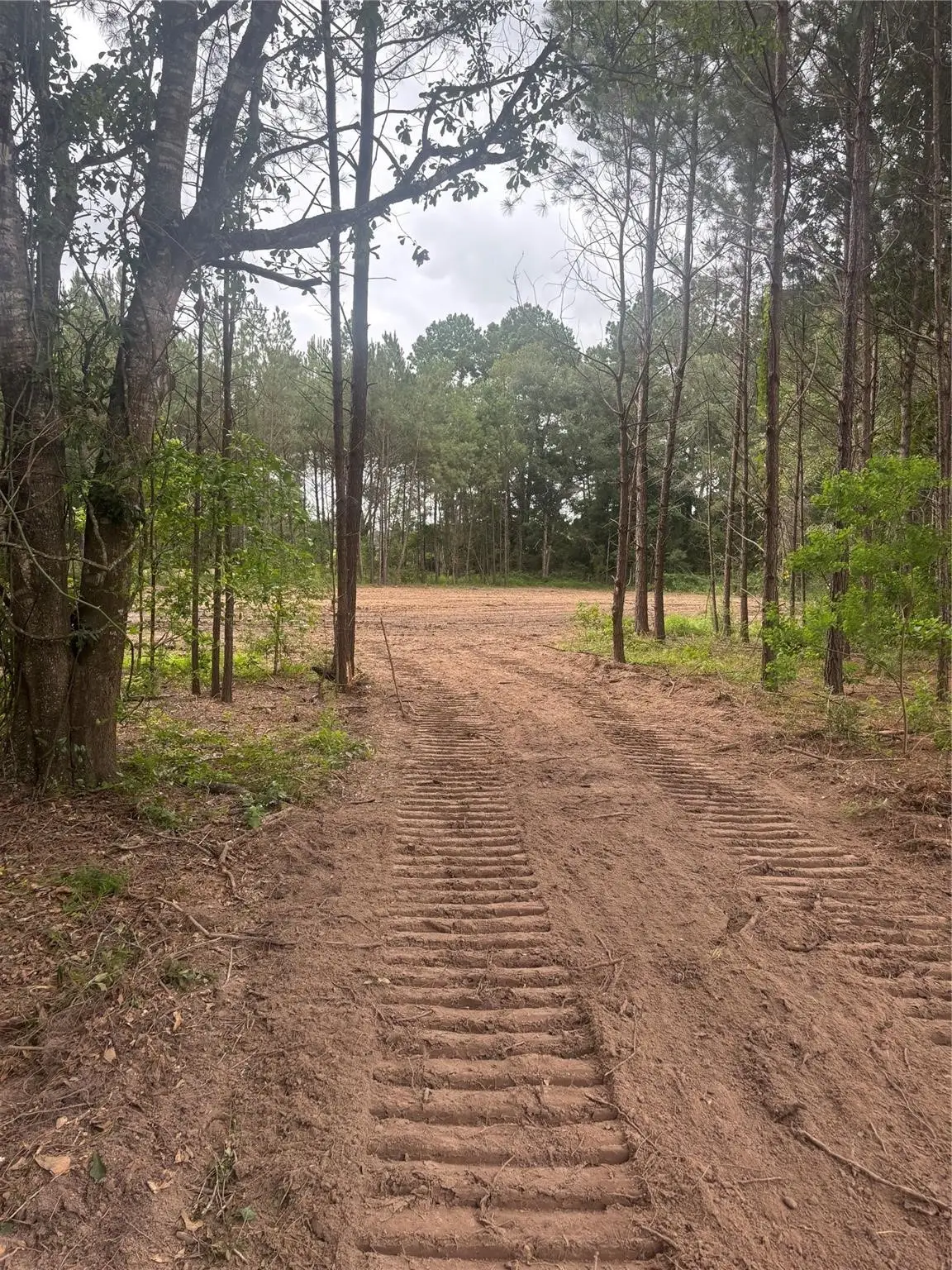 TBD County Road 3015 - Tract C2, Dayton, TX 77535 - Image #1