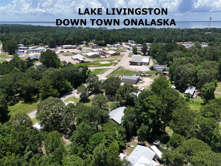253 Old Groveton Road S, Onalaska, TX 77360 - #2