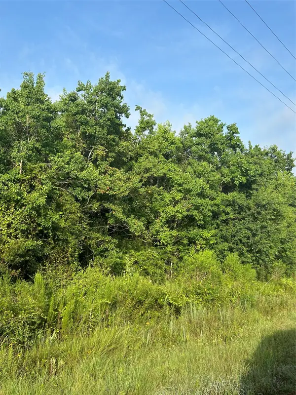 Lot 13 Pine Ridge, Prairie View, TX 77484