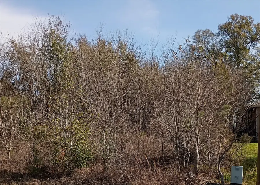 425 County Road 5041, Cleveland, TX 77327 - Image #2